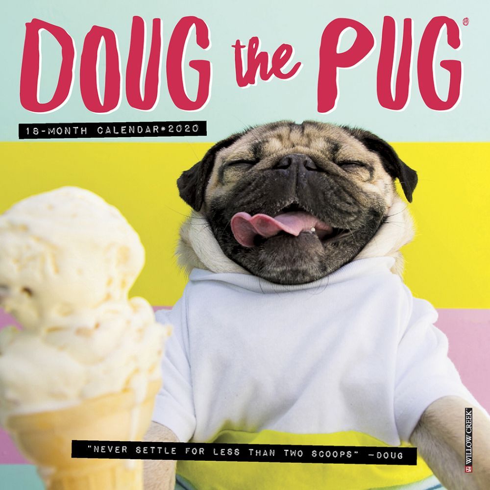 Doug the Pug Mini Wall Calendar 2020 | eBay