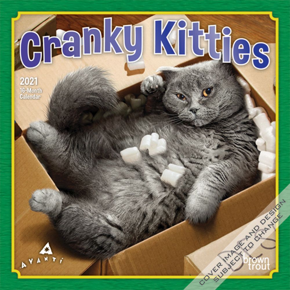 Cranky Kitties Mini Wall Calendar eBay